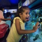 Dubai Parks and Resorts - Kids go free 